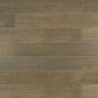Barrique 4" x 24" x 3/8" Floor and Wall Tile in Gris