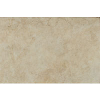 Forge 13" x 20" x 3/8" Floor and Wall Tile in White