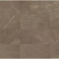 Pulpis 12" x 24" x 3/8" Floor and Wall Tile in Puro