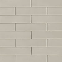 Costa Allegra 3" x 12" x 3/8" Floor and Wall Tile in Cinder