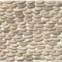 Hemisphere Floor and Wall Mosaic in Fatima Cream