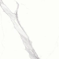 Magnifica 30" x 30" x 1/4" Floor and Wall Tile in Statuario Super White
