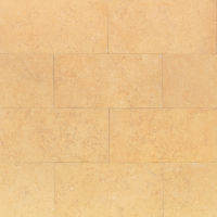 Ambre 12" x 24" x 3/8" Floor and Wall Tile