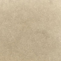 Sea Grass Limestone in 2 cm