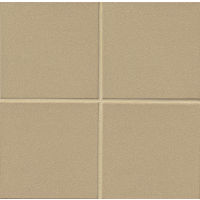Metropolitan 8" x 8" x 1/2" Floor and Wall Tile in Buckskin