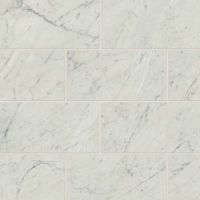Classic 2.0 12" x 24" x 3/8" Floor and Wall Tile in Bianco Carrara