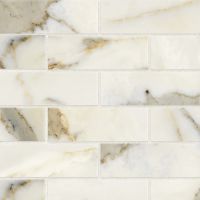 Classic 2.0 2" x 6" Floor and Wall Mosaic in Calacatta Oro