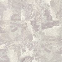 Classic 18" x 18" x 3/8" Floor and Wall Tile in Bardiglietto