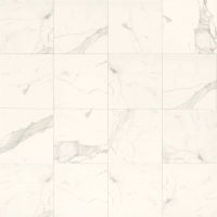 Classic 12" x 12" x 3/8" Floor and Wall Tile in Statuarietto