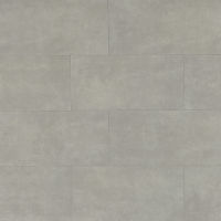 Parkland 12" x 24" x 3/8" Floor and Wall Tile in Arctic