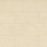 Parkland 12" x 24" x 3/8" Floor and Wall Tile in Shenandoah