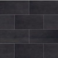 Plane 15" x 30" x 1/4" Floor and Wall Tile in Black Chrome