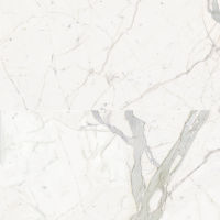 Plane 30" x 60" x 1/4" Floor and Wall Tile in Classico (Calacatta)