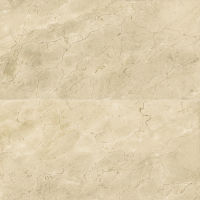 Plane 30" x 60" x 1/4" Floor and Wall Tile in Marfil Vena