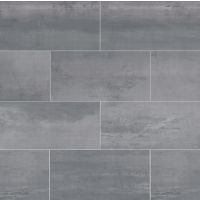 Plane 15" x 30" x 1/4" Floor and Wall Tile in Silver Chrome