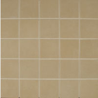 Metro Plus 2" x 2" Floor and Wall Mosaic in City Slicker