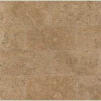 Chocolate 12" x 24" x 3/8" Floor and Wall Tile