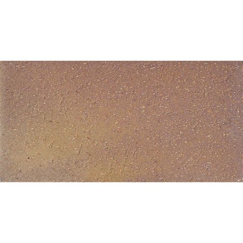 Metropolitan 4" x 8" Floor & Wall Tile in Aztec