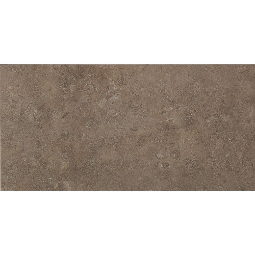 Tribal 12" x 24" Floor & Wall Tile in Greenwich