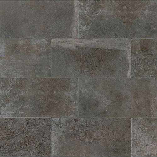 Blende 12" x 24" x 3/8" Floor and Wall Tile in Cinereal