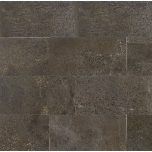 Blende 24" x 48" Floor & Wall Tile in Piceous