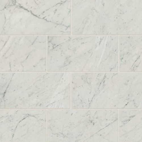 Classic 2.0 12" x 24" Floor & Wall Tile in Bianco Carrara