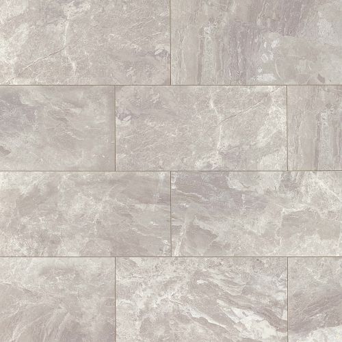 Classic 12" x 24" Floor & Wall Tile in Bardiglietto