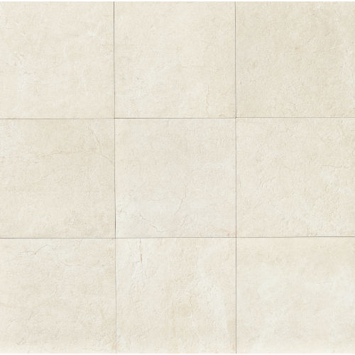 Marfil 20" x 20" x 5/16" Floor and Wall Tile in Alabaster