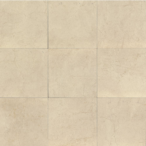 Marfil 24" x 24" x 3/8" Floor and Wall Tile in Bianco