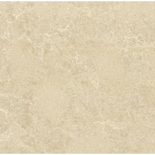 Polished Porcelain 24" x 24" Floor & Wall Tile in Almond