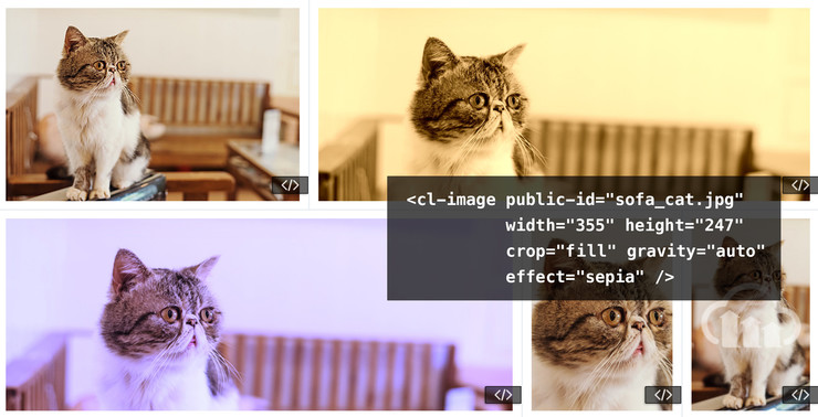 New interactive web development demo with code samples