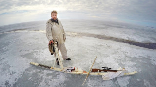 Kuvareportaasi: Näin hylkeitä pyydetään kevätjäillä