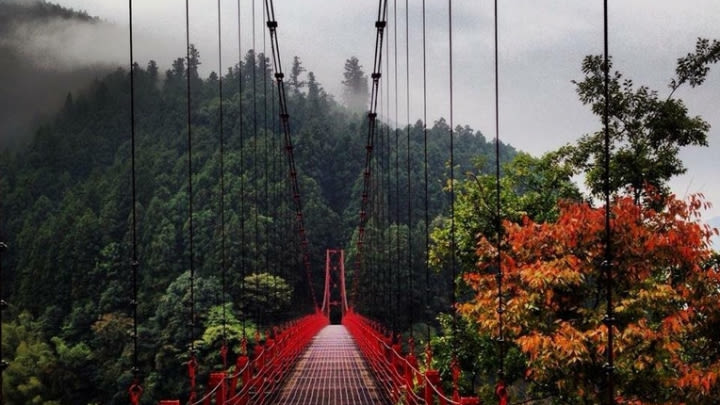 A beautiful, serene bridge in Japan (Image uploaded to Reddit by u/nategolon).