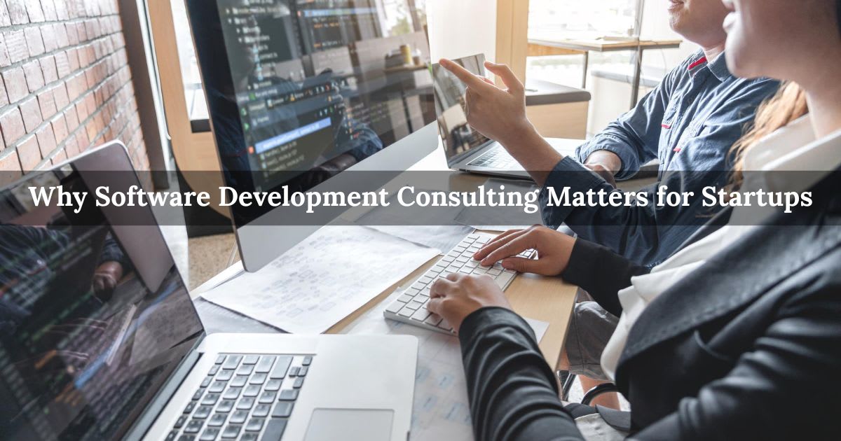 Why Software Development Consulting Matters for Startups
