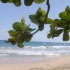 A student studying abroad with CEA Global Education: San Jose, Costa Rica