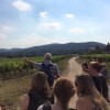 A student studying abroad with IES Abroad: Vienna - IES Abroad in Vienna