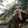 A student studying abroad with Study Abroad Programs in Costa Rica
