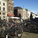 DIS - Danish Institute for Study Abroad: Copenhagen - Various Programs Photo