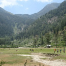 SUNY Purchase: Dharamsala - Summer Faculty-Led Program to India Photo