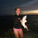 The School for Field Studies / SFS: Turks and Caicos Islands - Marine Resource Studies Photo