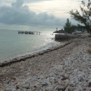 SFS: Turks & Caicos - Marine Resource Management Studies Photo