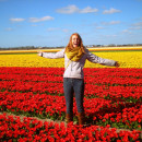 Study Abroad Programs in the Netherlands Photo