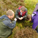 Study Abroad Reviews for Adelante: Edinburgh - Ecological Conservation Summer Program in Scotland