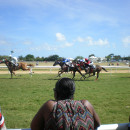 University of the West Indies, Cave Hill Campus (UWI-CHC): Barbados - Direct Enrollment & Exchange Photo