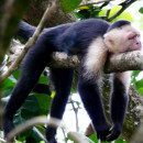 Study Abroad Programs in Costa Rica Photo
