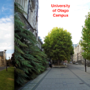 University of Otago: Dunedin - Direct Enrollment/Exchange Photo