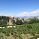 AIFS: Granada - University of Granada Photo