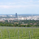 IES Abroad: Vienna - IES Abroad in Vienna Photo