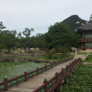 Korea University: Seoul - Direct Enrollment & Exchange Photo