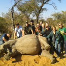 Study Abroad Reviews for Eko Tracks: Veterinary Field Study in South Africa